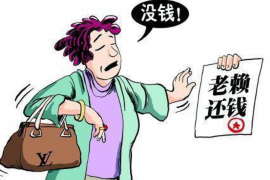 肇州企业清欠服务